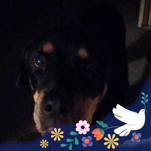 Meet your Posher, Candy